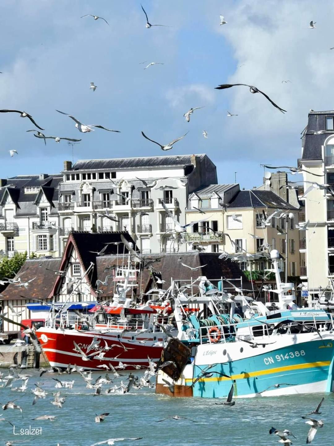Studio De Charme A Trouville Sur Mer. Ngoại thất bức ảnh